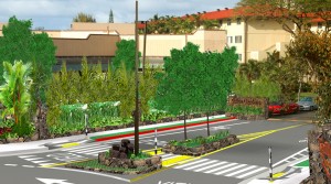 Hamakua / Aloha Intersection - After                 